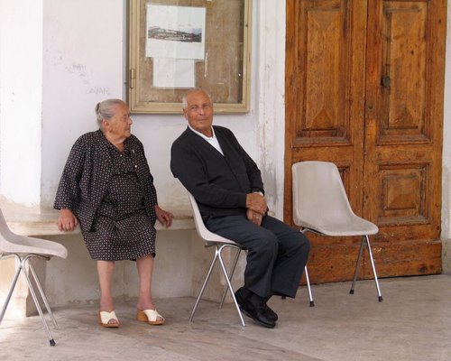 Misty Grove community and social casino experience